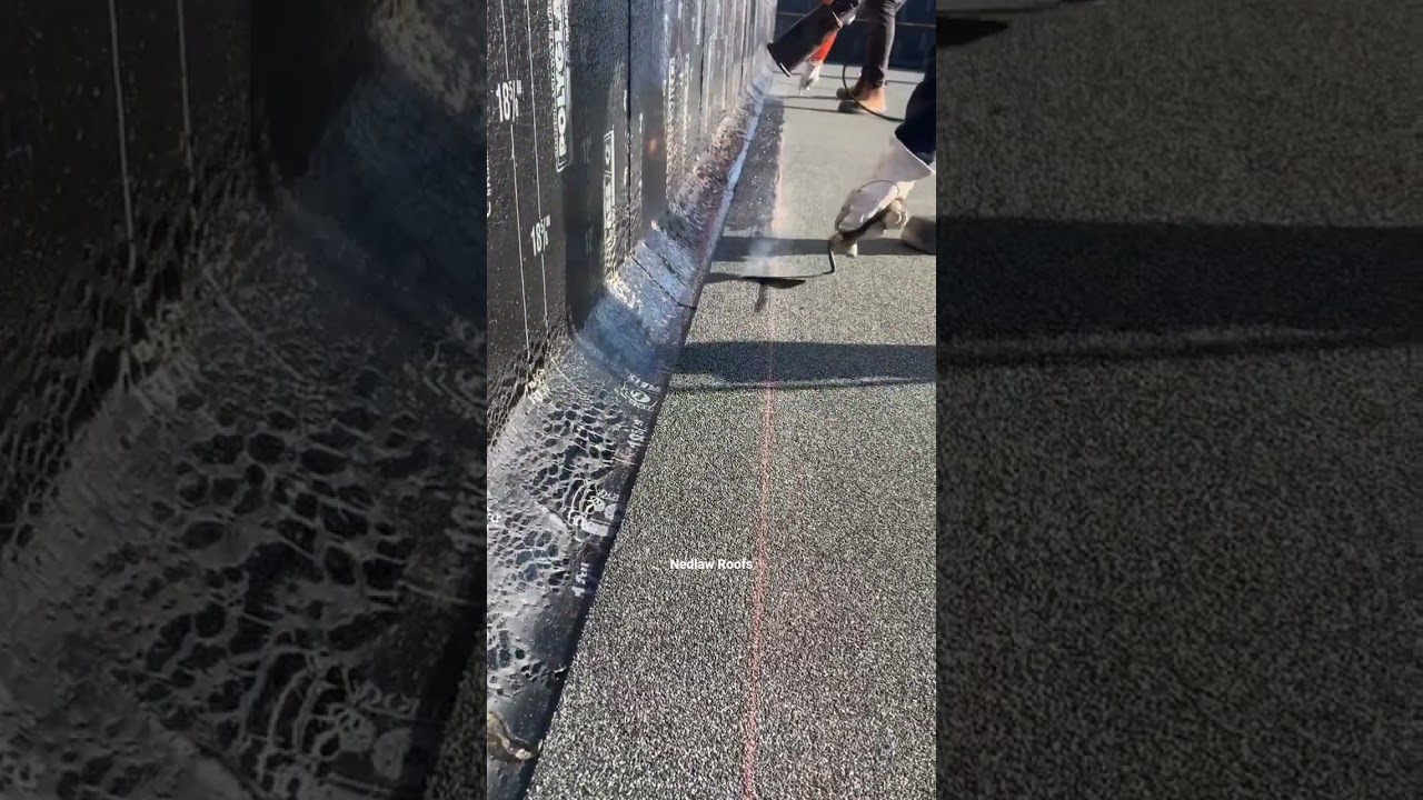 Embedding granules on SBS modified cap sheet. #shorts #roof #roofer #roofing #roofershelper