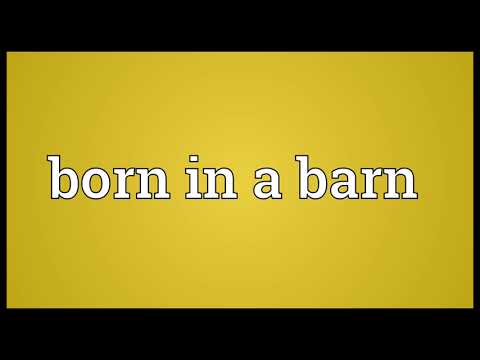 Born in a barn Meaning