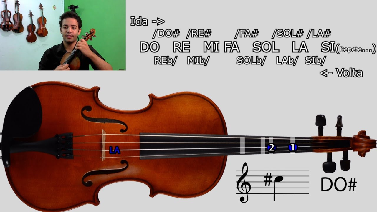 HOW TO FIND THE NOTES ON VIOLIN WITH THE SHEET | Online Violin Lessons