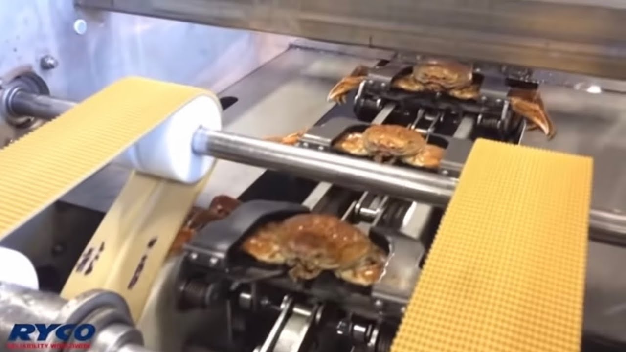 Mr Krabs “Money Money Money Ahh”