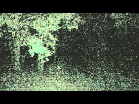 Shiloh Cemetery Video 2