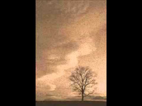 Ivana Pandurovic - Grancice mirisne, bagrema belog