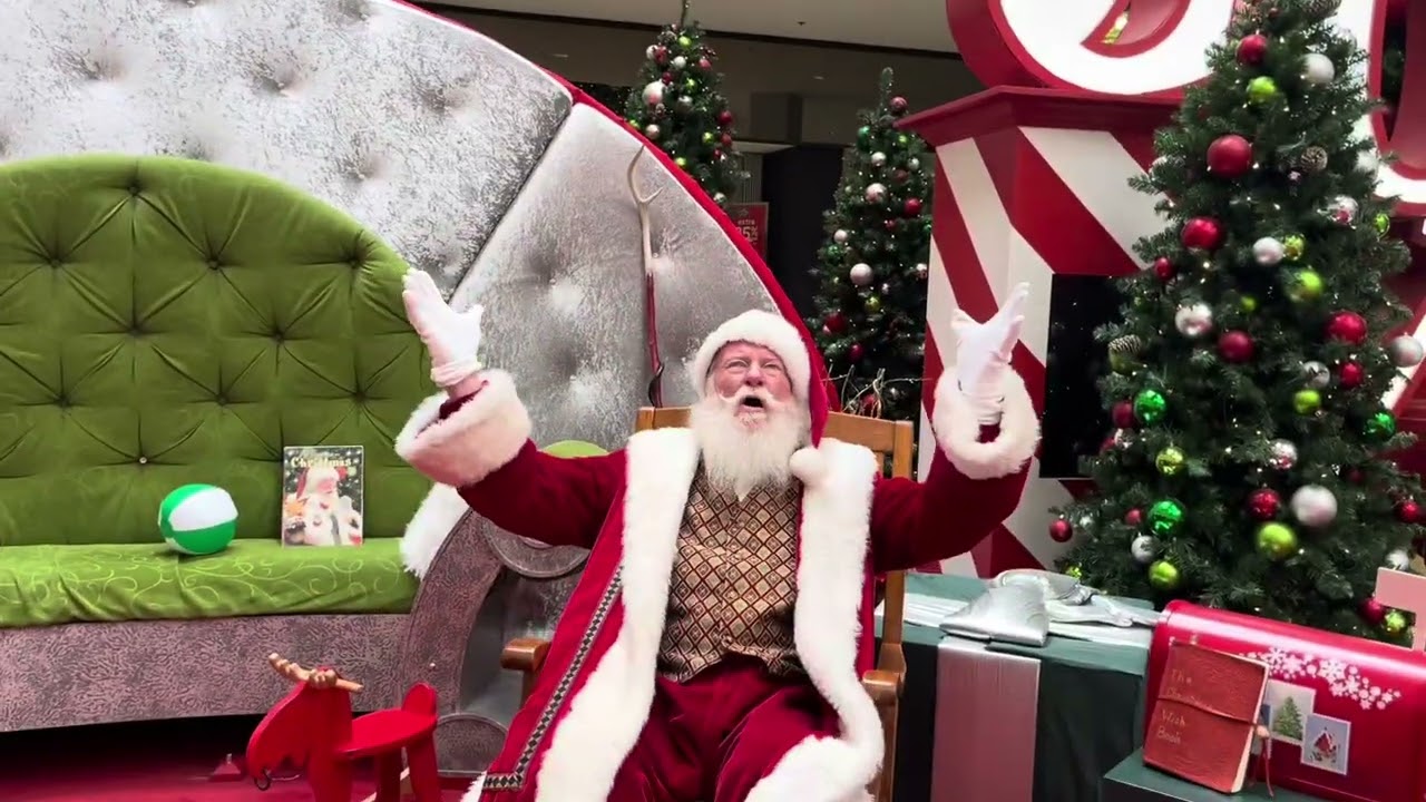Promotional video thumbnail 1 for SleighRyder (Santa Wade)