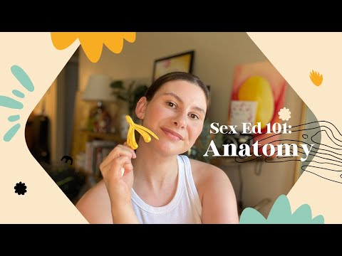 Sex Ed 101: Anatomy