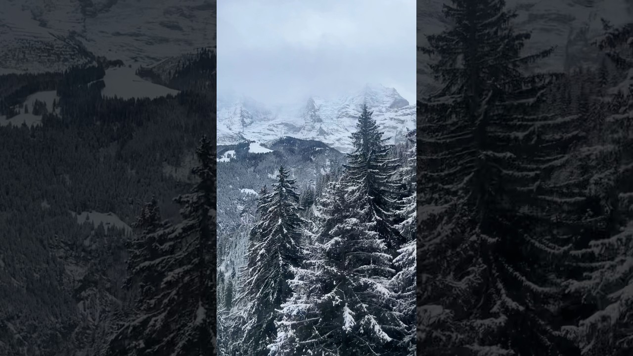 YouTube Short thumbnail