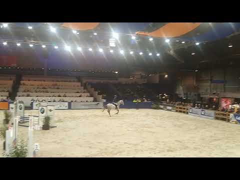 Kardesh  Hengst (Etoulon x Zirocco Blue x Corland) GGK  KWPN Hengst 2018