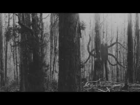 [FREE] Zerkey x Arksen x WARFILL x HXNTAI x Trap Metal Type Beat | “Inner Demons” | (PROD.JXNVKI)