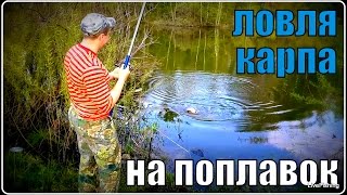 Ловля сазана на удочку с берегами