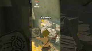 世界一ﾍﾀなティアキンwww/ゼルダの伝説 ティアーズオブザキングダム #shorts