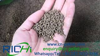 1-2 Ton per hour good performance poultry chicken feed pellet mill machine for sale