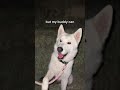 Say Hi
