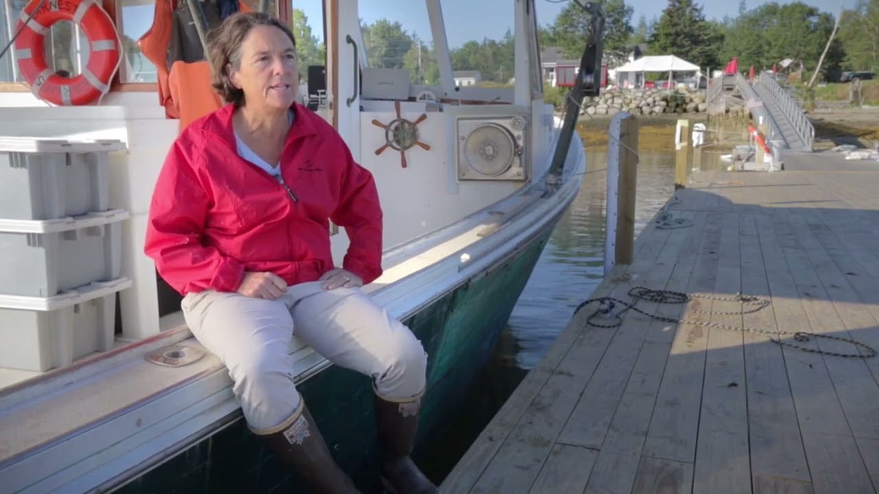 Sustainable Maine Lobster: How We Harvest Responsibly | Maine Shelled Lobster