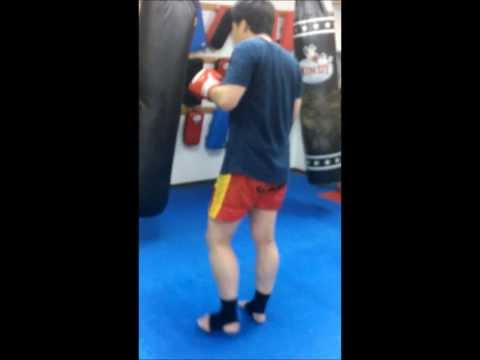 黄金の左ミドル