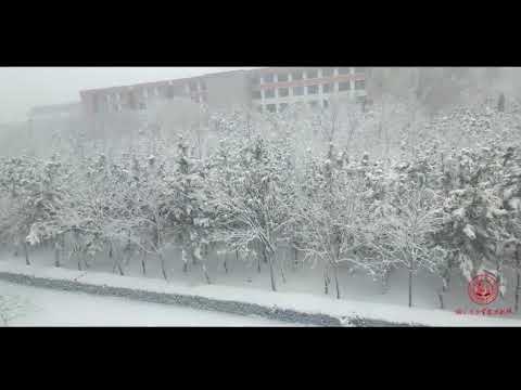 Críticas/Acesso/Horário de funcionamento da Fazenda Nanzan｜Urumokusai