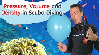 Scuba Diving Pressure Explained | Boyle’s Law Made Easy for Divers