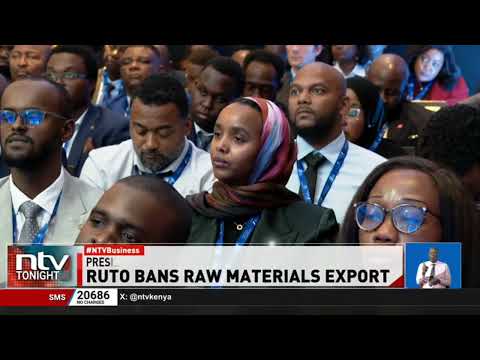 President Ruto urges Africa to mobilise local capital for development