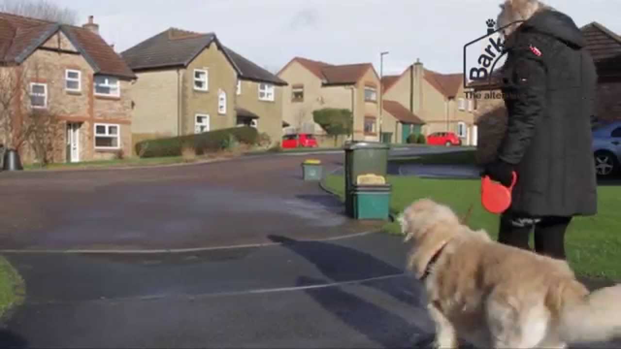 A Barking Mad Host's Story