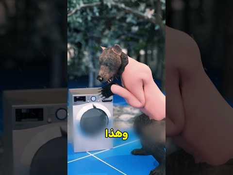 الدببة فالشتاء 😱 #shortvideo