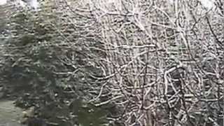 preview picture of video 'Thanksgiving 2004 Snow in Picayune MS'