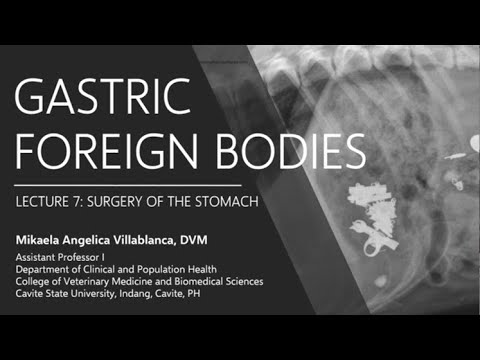 Lecture 7.6 Gastric Foreign Bodies
