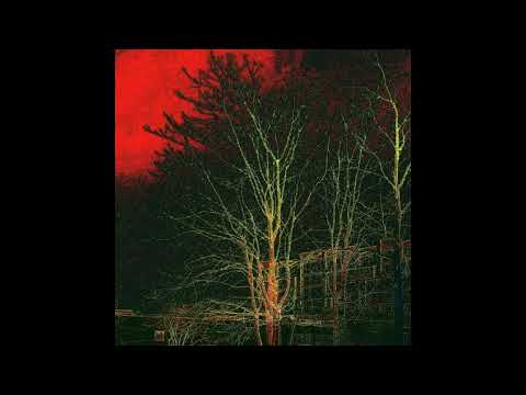 [FREE] molchat doma x thxsomch x post punk type beat - "Sadness"