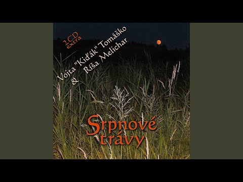 Pětadvacet na holou