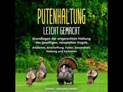 Putenhaltung leicht gemacht: Grundlagen der artgerechten Haltung des geselligen, verspielten Vogels