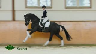 Retour en piste pour Secret