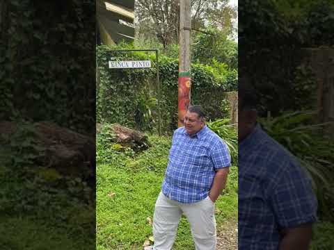 Finca Pinto, Las Nubes de Coronado, 2023