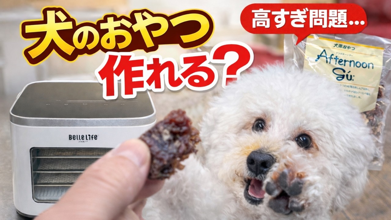 フードドライヤーで、ドッグトレーナーが愛犬のおやつを作ってみたら、どんなことが起こった？
