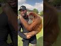 Orangutans 🦧 are such a beautiful creature ! #orangutan #ape