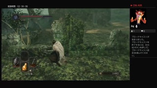 【ダクソ2】初見プレイ誰か助けて。召喚させて