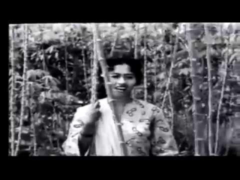 Filem Melayu Klasik | SRI MERSING (1961)