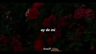 Detesto En Mi   Silvana Estrada; Letra