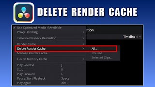 How to Delete Render Cache in Davinci Resolve 2026 - Free Up Drive Space