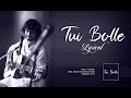 Lyrical Tui Bolle তুই বললে Shayan Chowdhury Arnob Tuibollelyrics Arnob