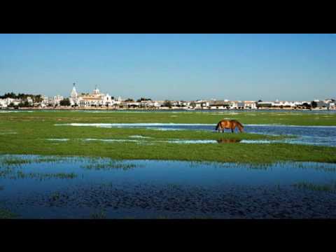 download lagu mp3 mp4 Solano De Las Marismas, download lagu Solano De Las Marismas gratis, unduh video klip Solano De Las Marismas