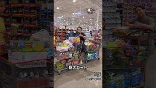 12人兄弟の大家族によるコストコ爆買い