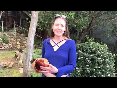 90 seconds with BAOM