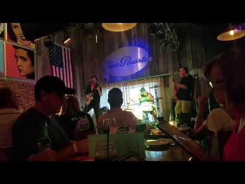 Frank bang trio at the Blue Rooster