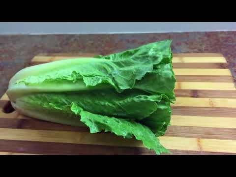How to Cut Romaine Lettuce