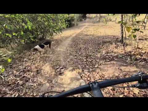 Pedal cascalheira Morrinhos Goiás / parte 01