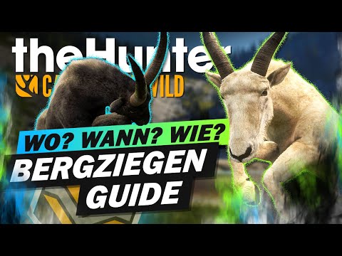 Der Bergziegen Jagd Guide! the Hunter Call of the Wild deutsch Tipps