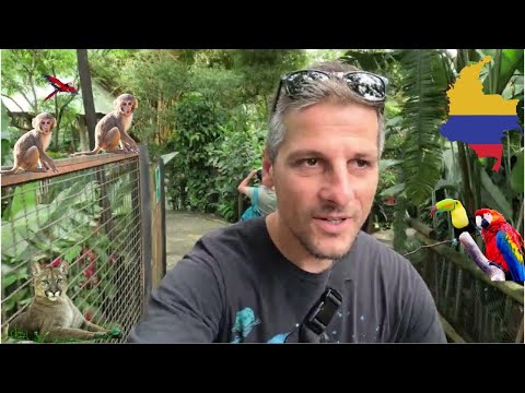 🇨🇴 Zoo Day in #medellin #Colombia   #travel