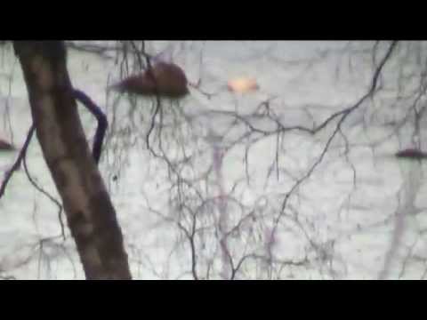 Nyt se on kesä Grilli kausi on avattu