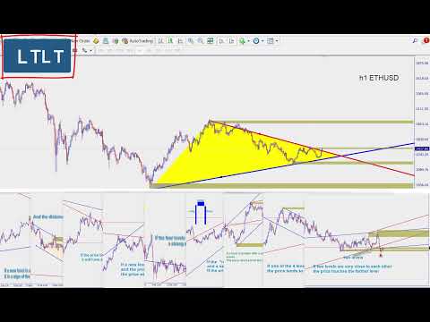 Video L TL T indicator