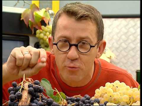 WINE ON WINE - It's Not Rocket Science