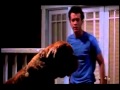 Stupid Dog