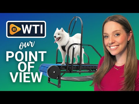 Dog Treadmill for Large/Medium Dogs - WTI product video review