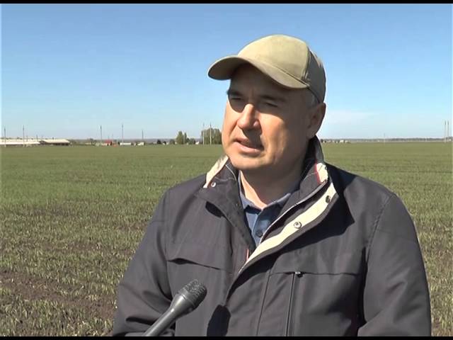 Нурлат - Республикада икенче